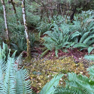 general_photos-20230913-221253