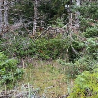 general_photos-20230913-225127