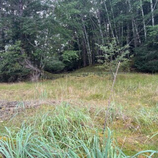 general_photos-20230920-224401