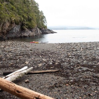 bb9810a1-c4a1-411a-a1e2-53b5bd2b8a98