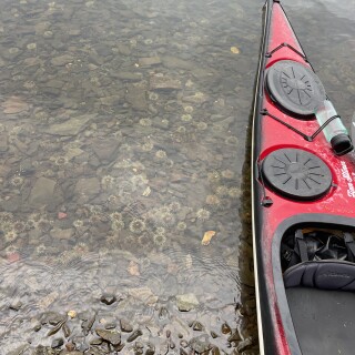 general_photos-20240915-190237