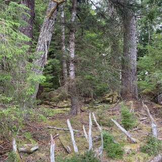 general_photos-20240915-190251