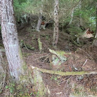 general_photos-20230914-125248